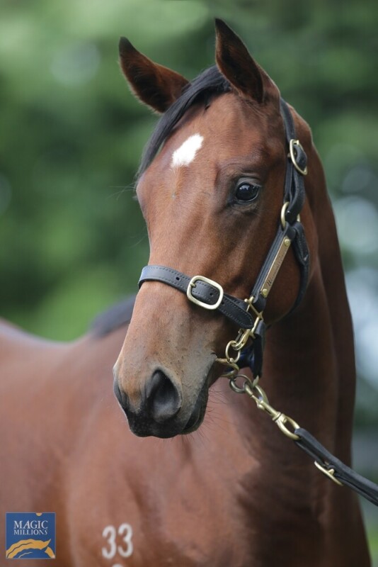 Pierata X Princess Siri